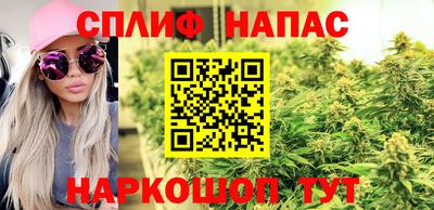 крисы Татарск