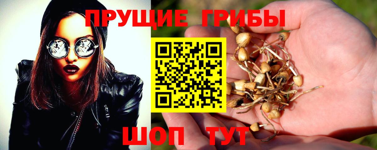 Галлюциногенные грибы Cubensis  Вход с VPN  Балашиха 